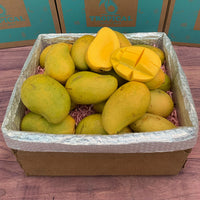 Mingolo Mango Box - Small (5 Pounds) - Tropical Fruit Box