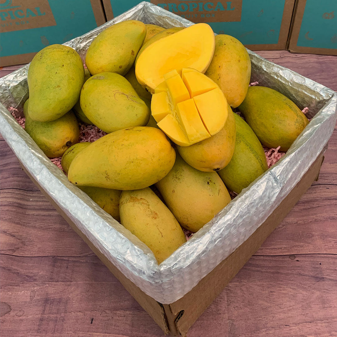 Mingolo Mango Box - Large (16 Pounds) - Tropical Fruit Box