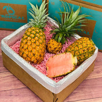 Thumbnail for Pineapple Party Box 