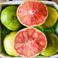 Thumbnail for Pomelo Box Tropical Fruit Box Produce Box