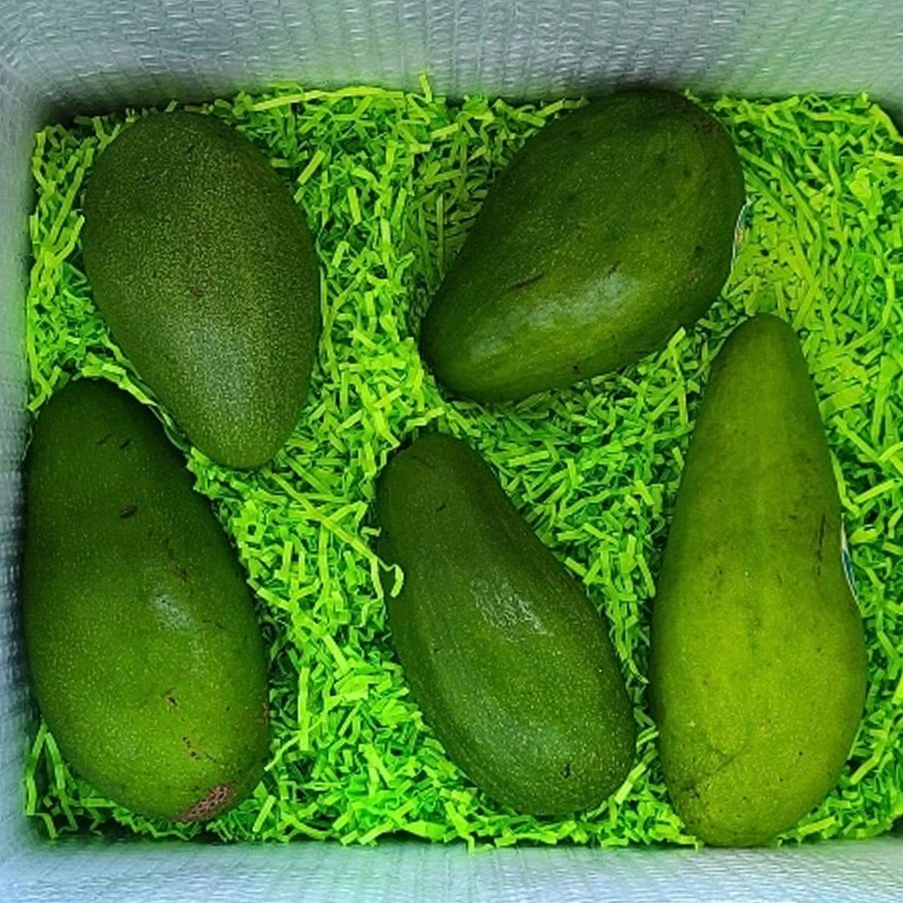 Tropical Avocado Tasting Box