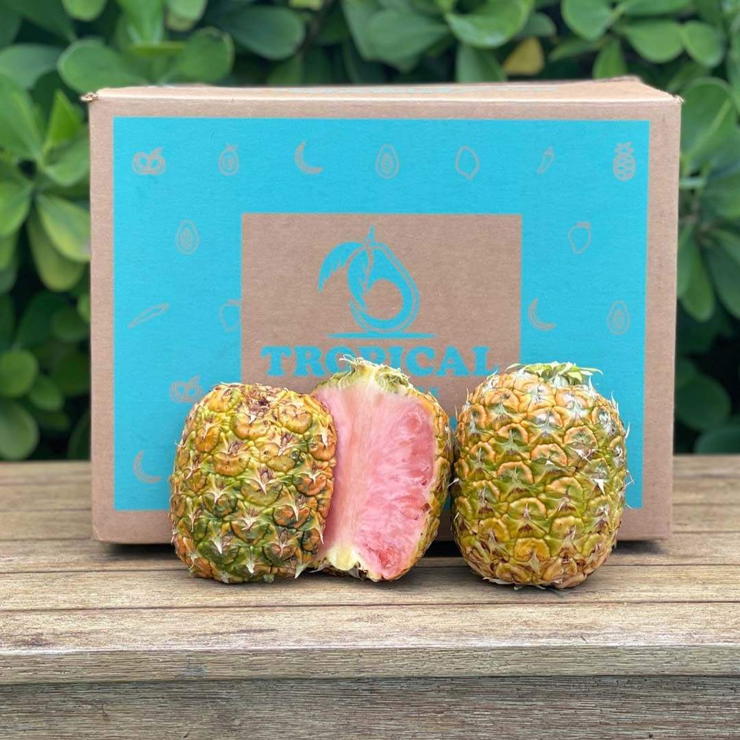 Pinkglow™ Pink Pineapple Duo Box 