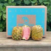Thumbnail for Pinkglow™ Pink Pineapple Duo Box 